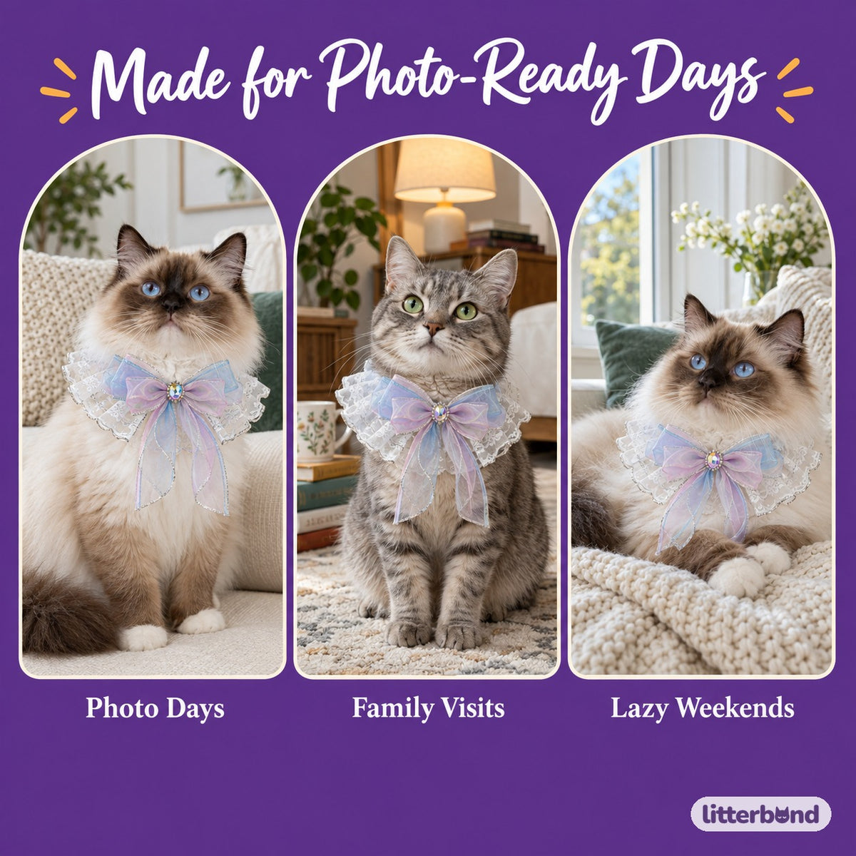 Dreamy Tulle Bow Collar on a cat at home
