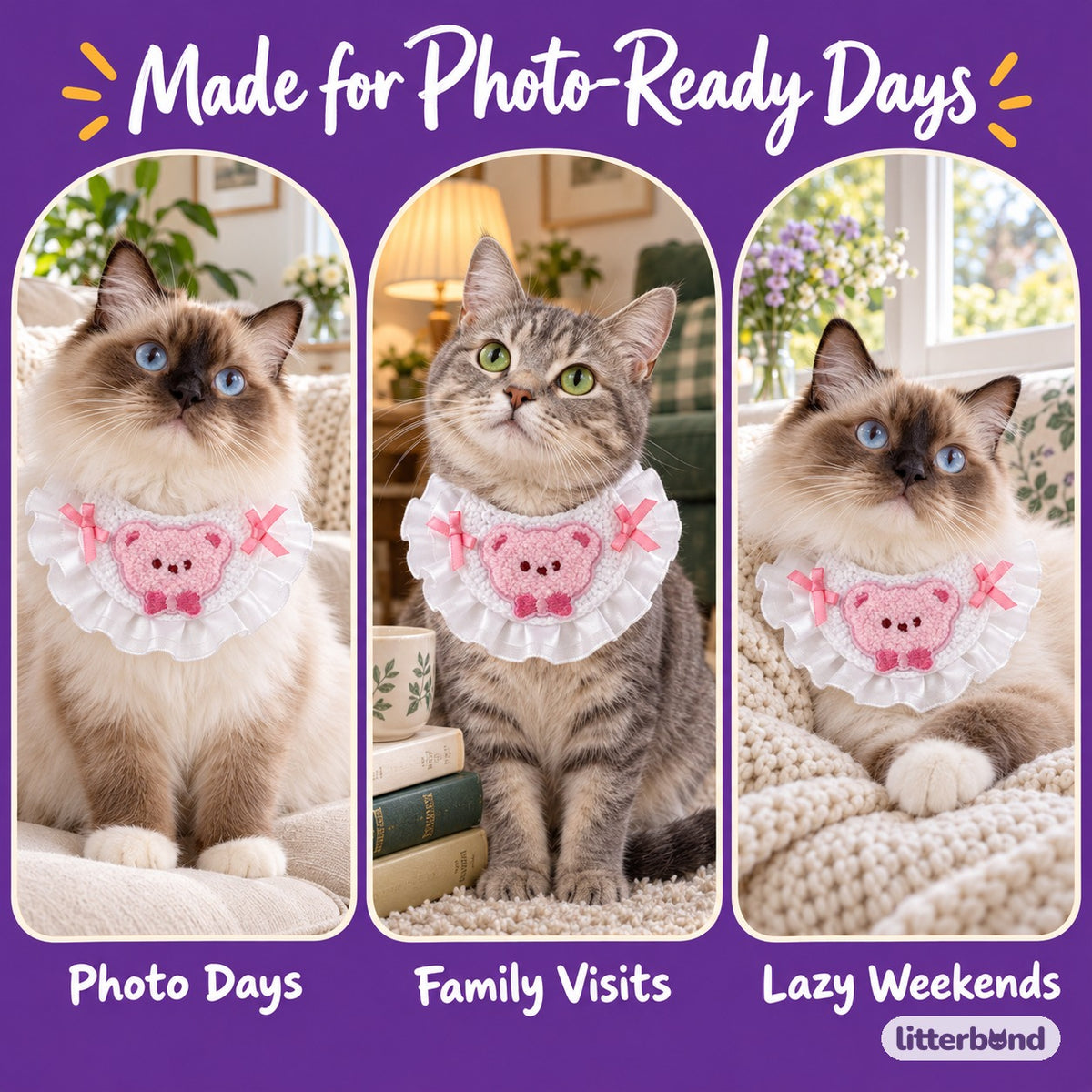 Crochet Bear Bib for Photos on a cat at home