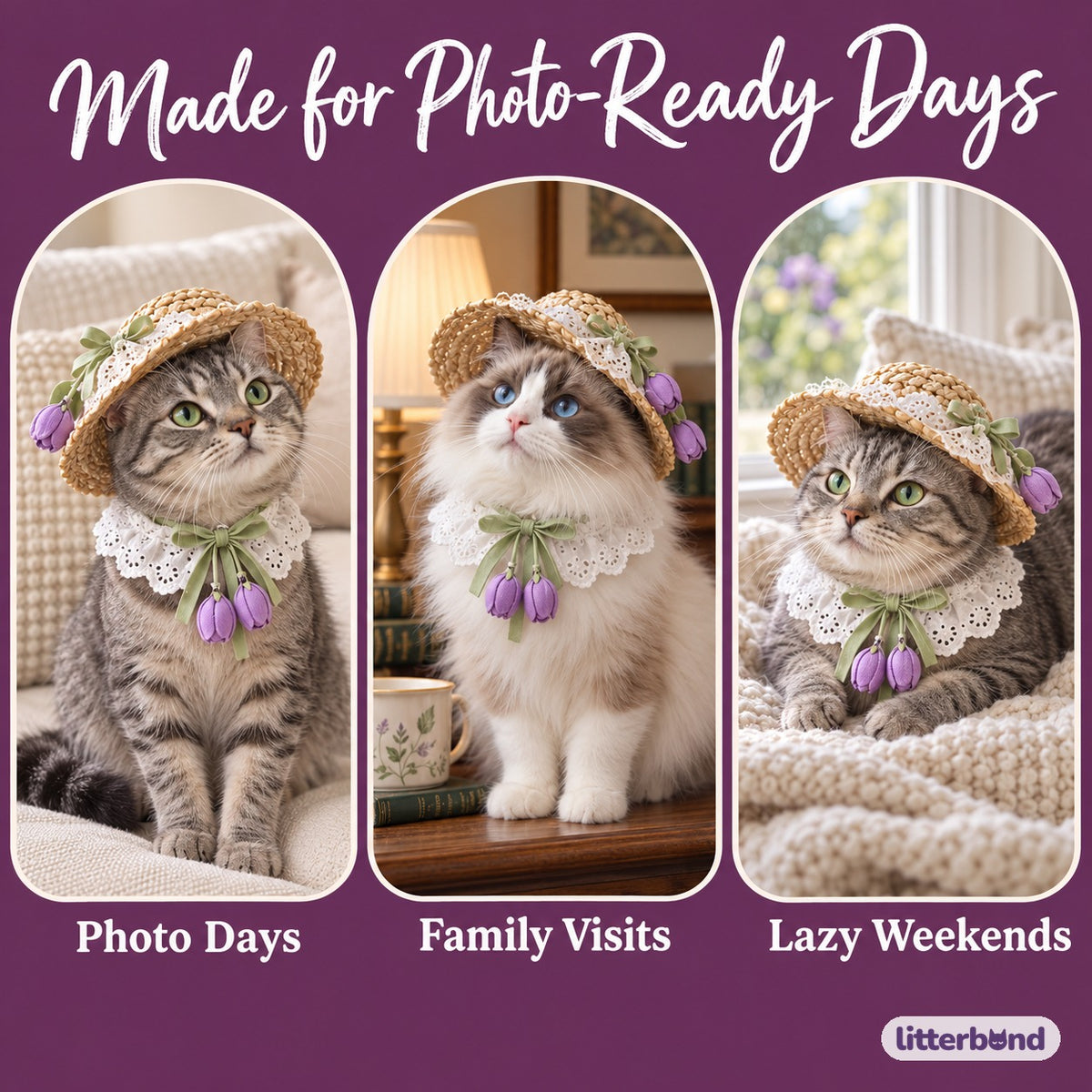 Tulip Photo Hat and Collar Set on a cat at home