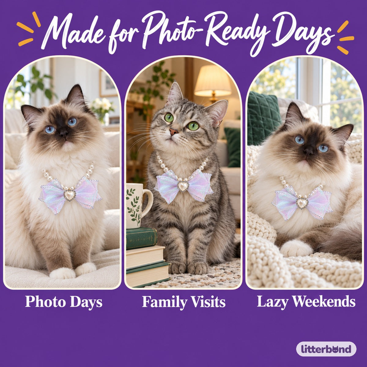 Iridescent Heart Bow Necklace on a cat at home