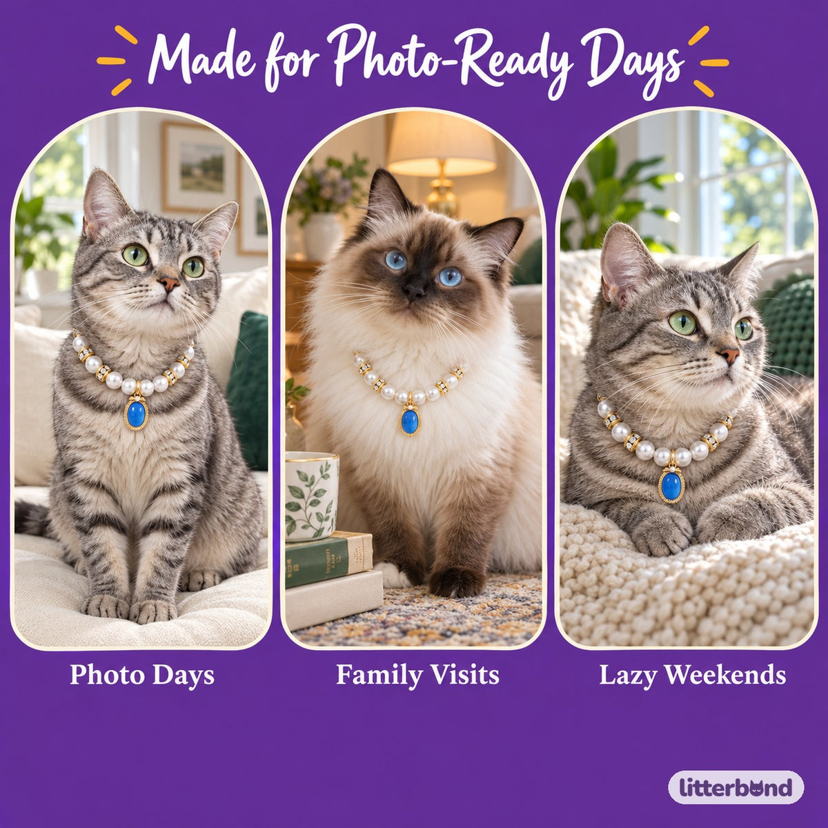 Colorful Pearl Charm Necklace on a cat at home