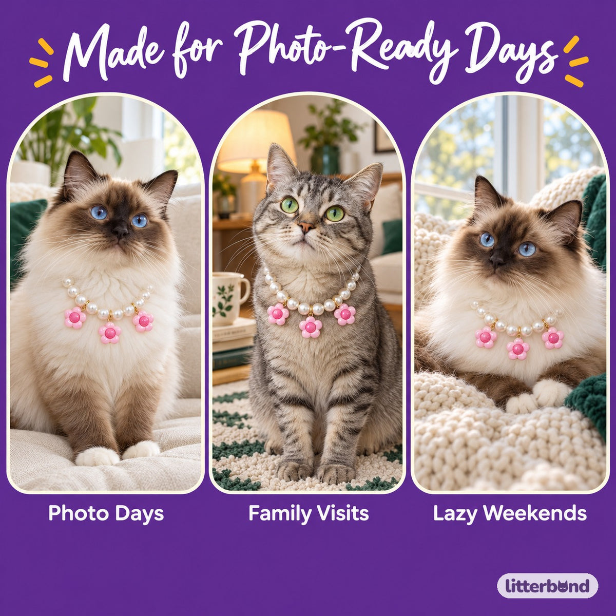 Pearl Necklace with Three Flower Charms on a cat at home