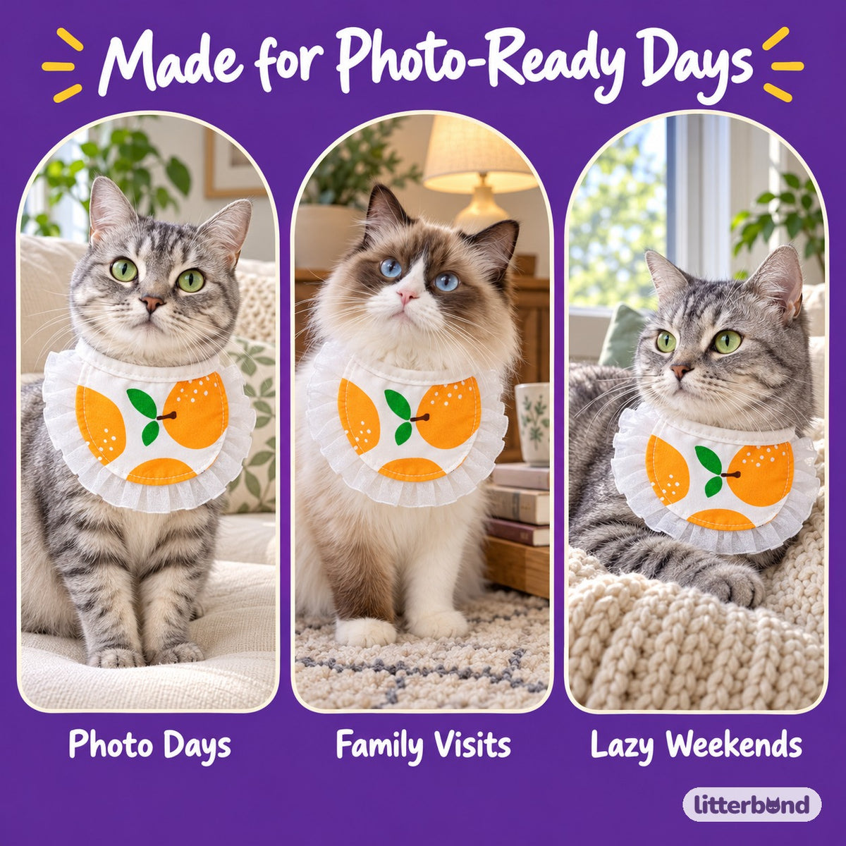 Floral Ruffle Pet Bib on a cat at home