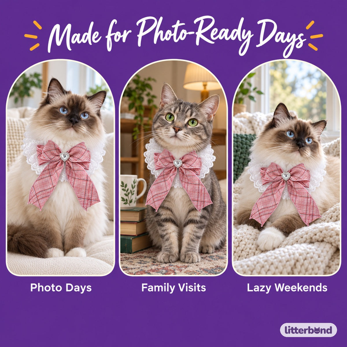 Plaid Heart Ruffle Collar on a cat at home