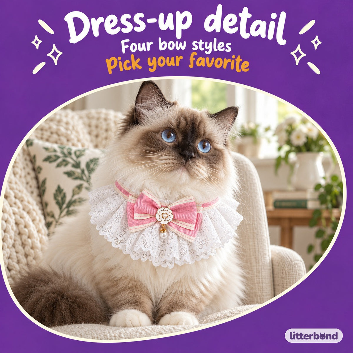 Lace Bow Bib for Photos on a cat