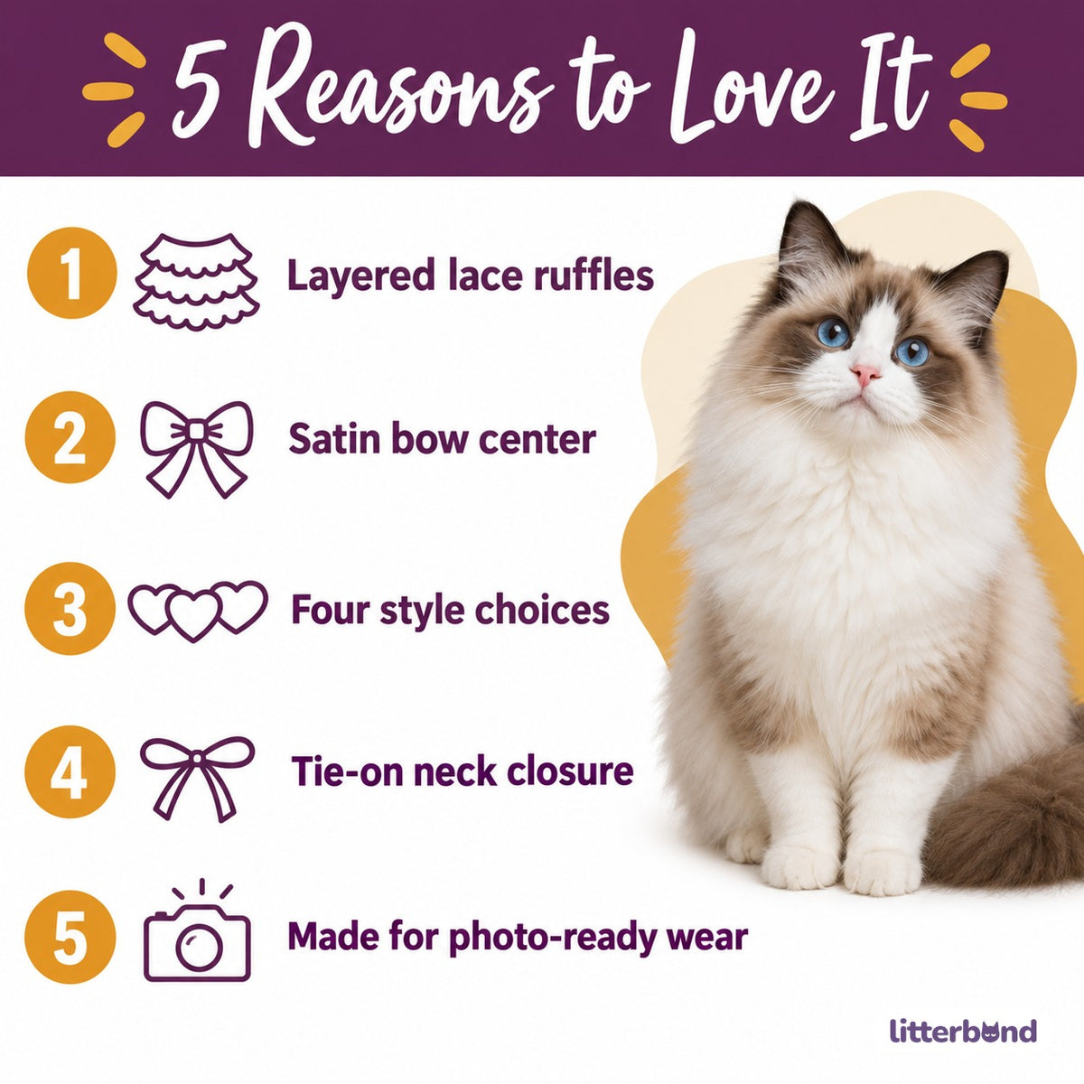 Lace Bow Bib for Photos - 5 reasons to love it