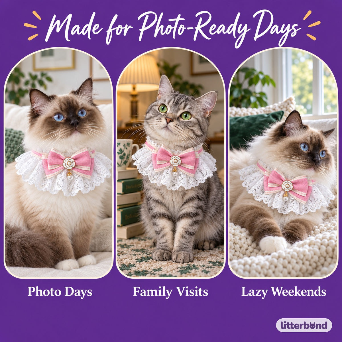 Lace Bow Bib for Photos on a cat at home