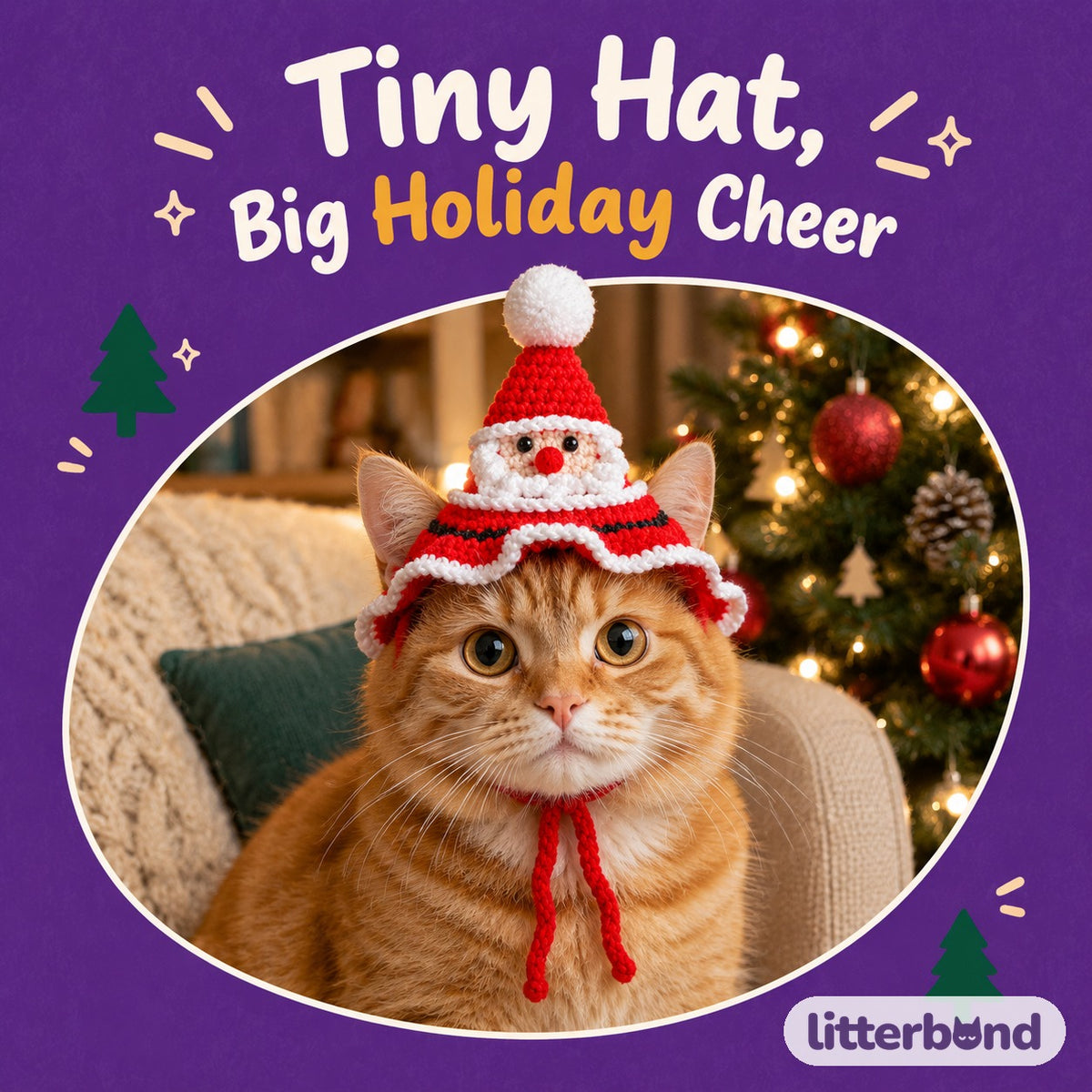 Crochet Christmas Hat on a cat