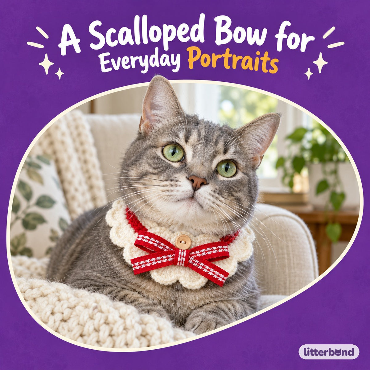 Crochet Bow Ruffle Collar for Cat Portraits on a cat