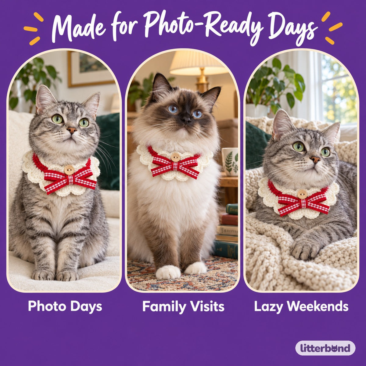 Crochet Bow Ruffle Collar for Cat Portraits on a cat at home