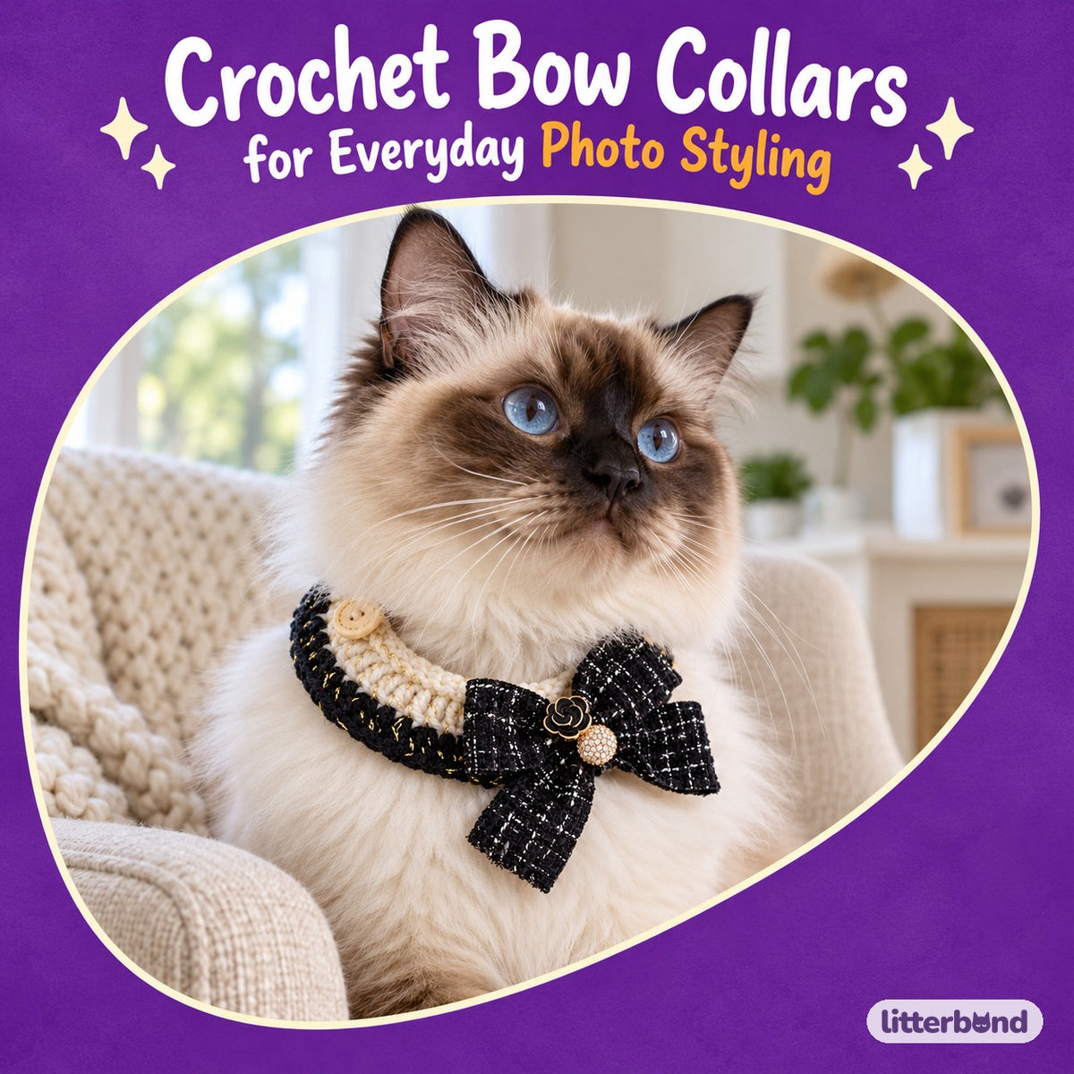 French Bow Crochet Collar on a cat