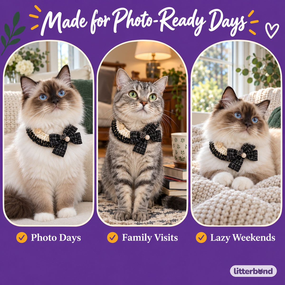 French Bow Crochet Collar on a cat at home