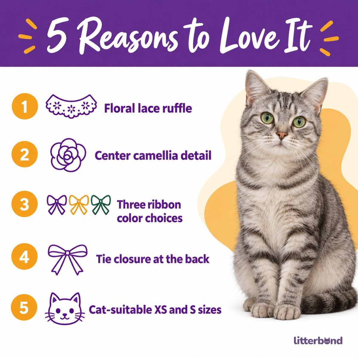 Camellia Lace Photo Collar - 5 reasons to love it
