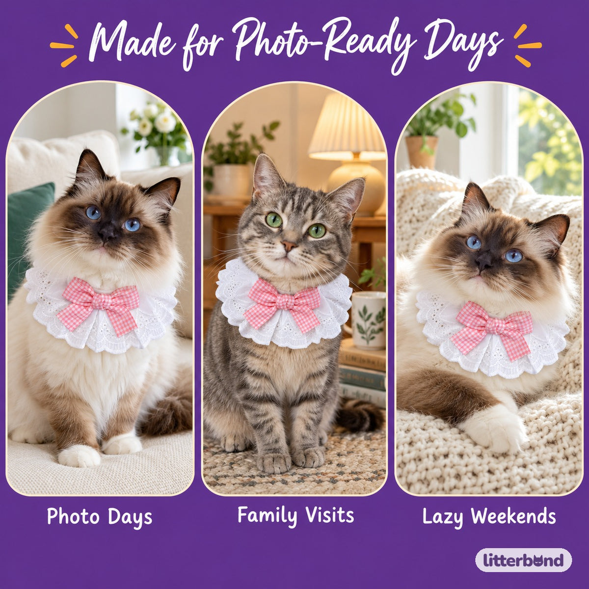 Gingham Bow Lace Collar on a cat at home