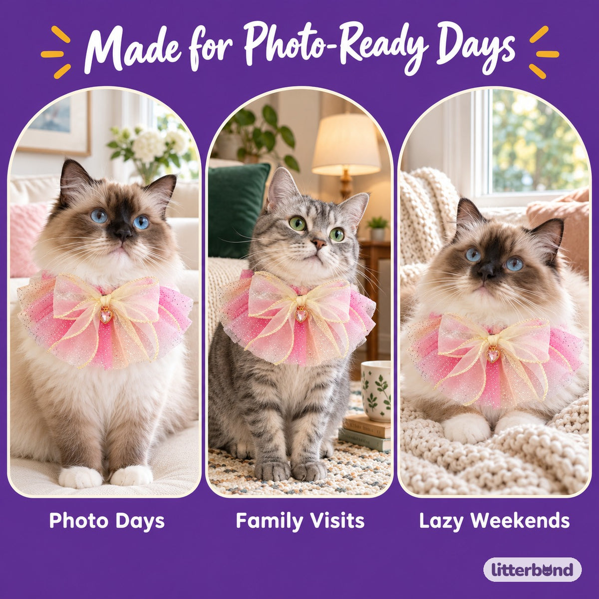 Sequin Tulle Bow Collar on a cat at home