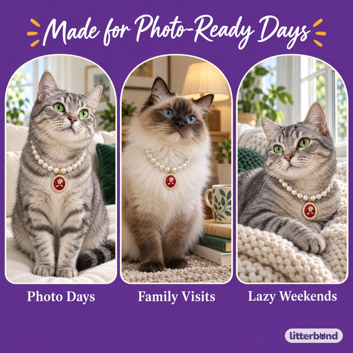 French Rose Cameo Necklace for Photos on a cat at home