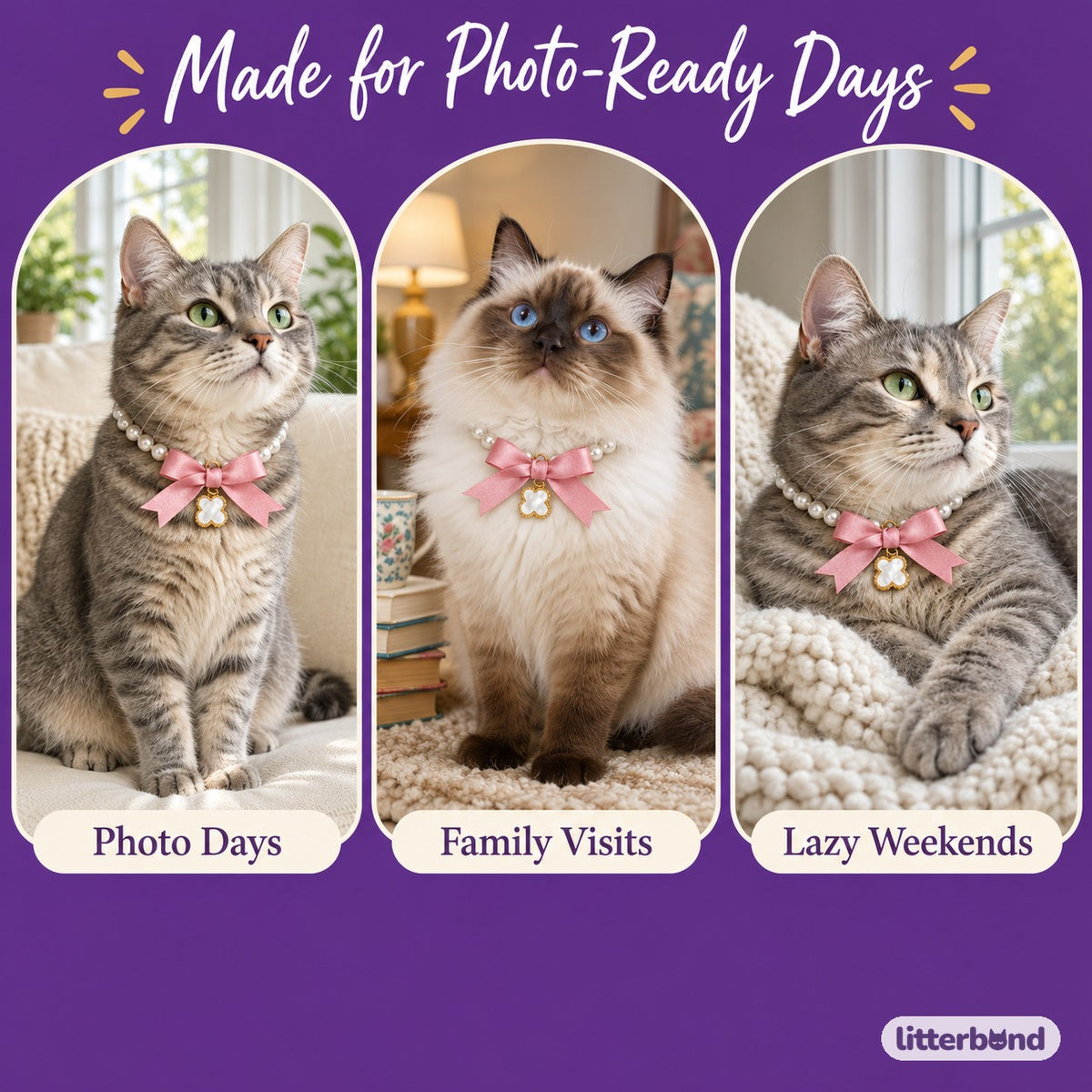 Pearl Bow Pendant Necklace on a cat at home