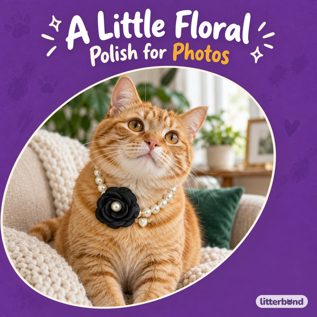 Layered Flower Pearl Necklace for Photos on a cat