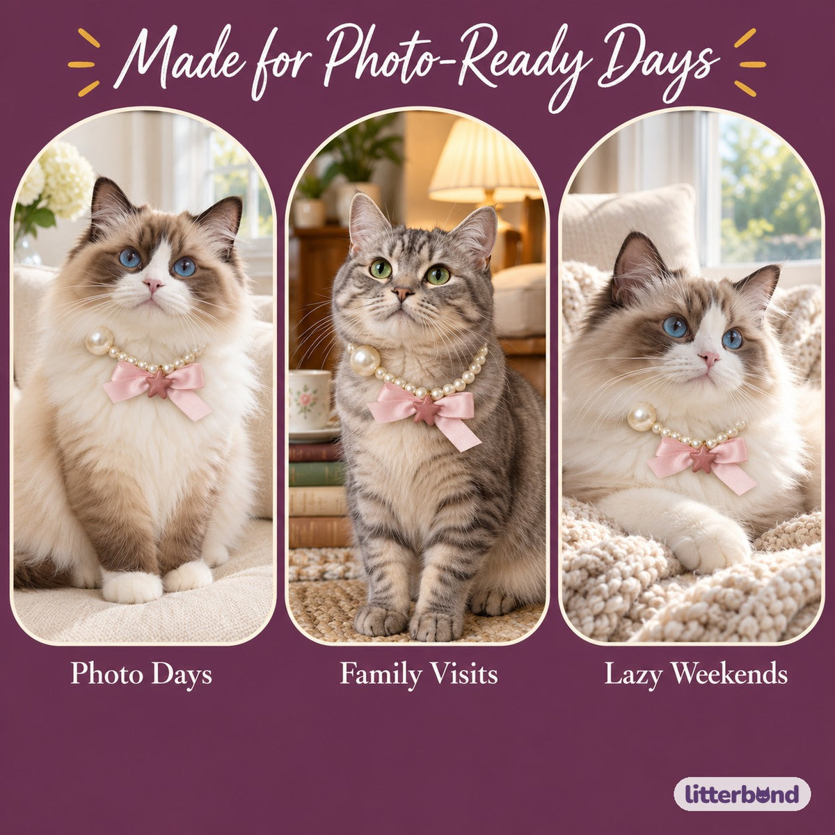 Pearl Bow Necklace for Photos on a cat at home