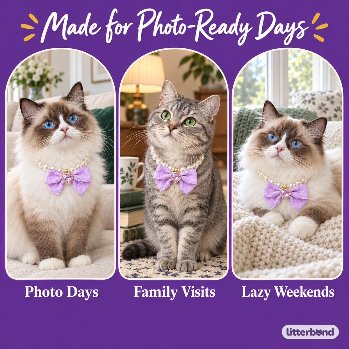 Pastel Bow Pearl Necklace on a cat at home