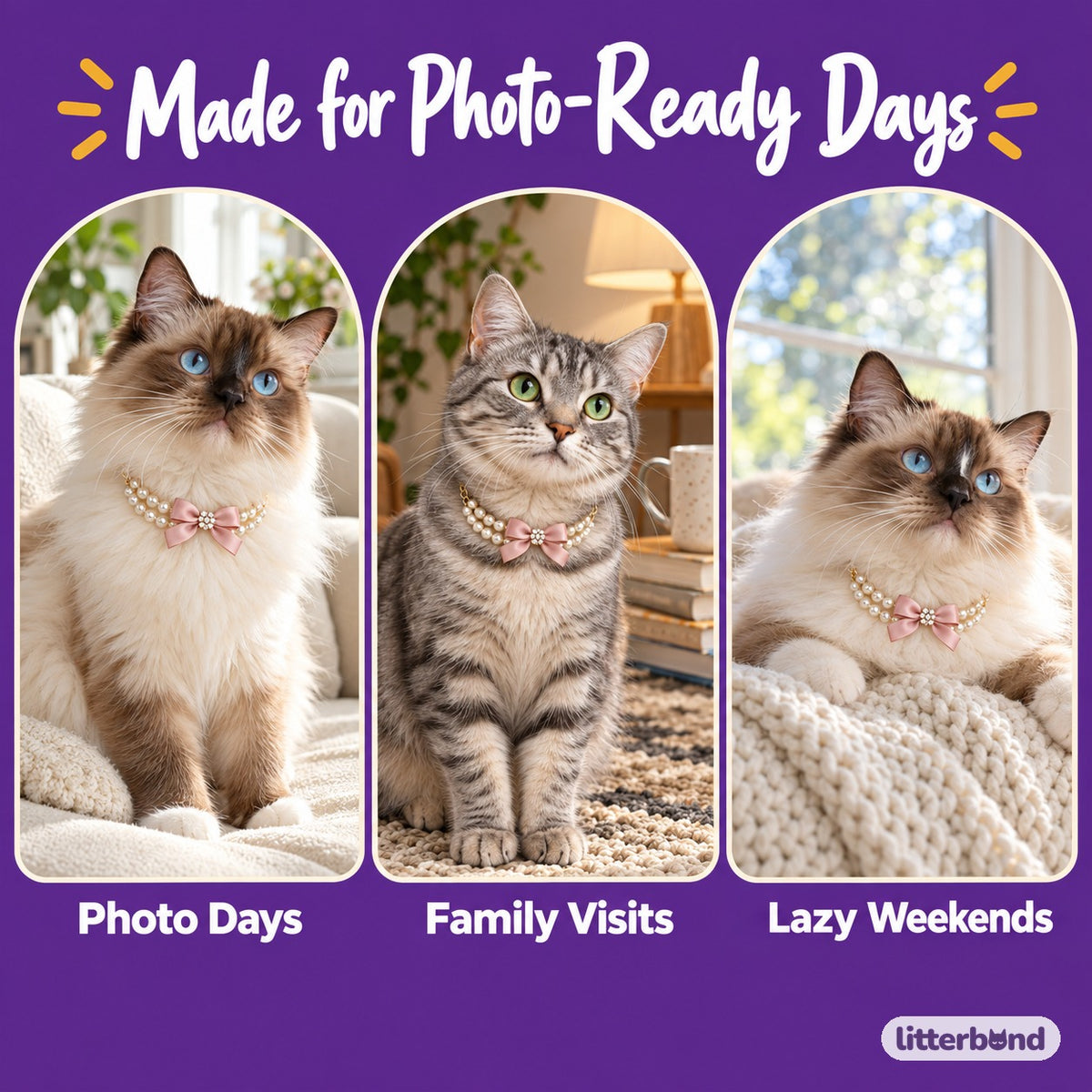 Double-Pearl Bow Necklace for Photos on a cat at home
