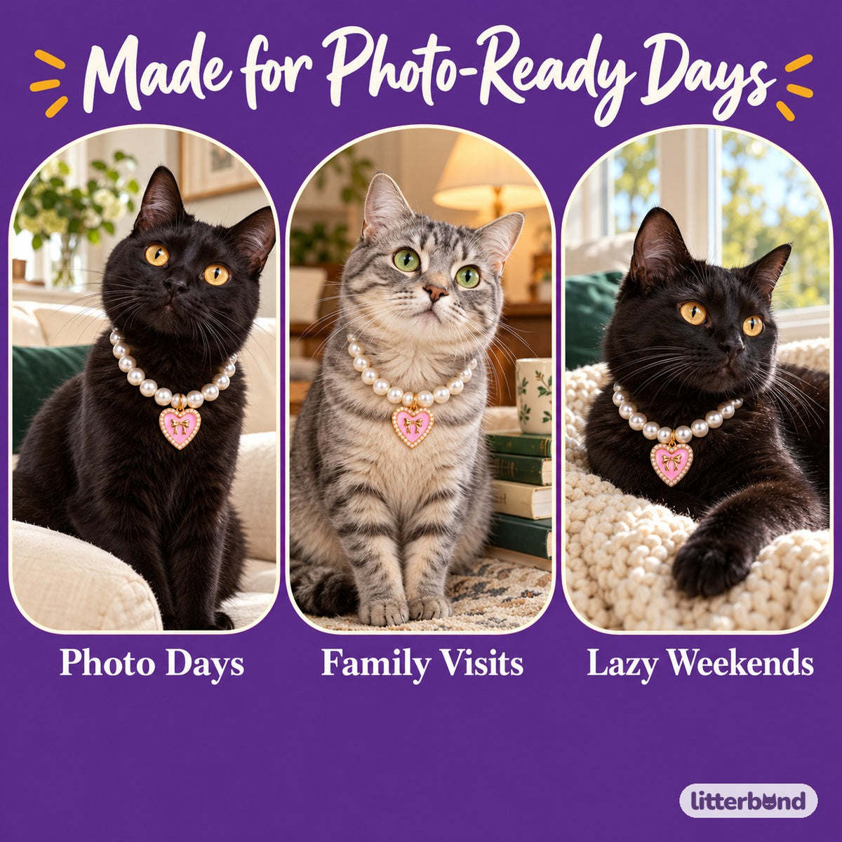 Rhinestone Heart Pearl Necklace on a cat at home