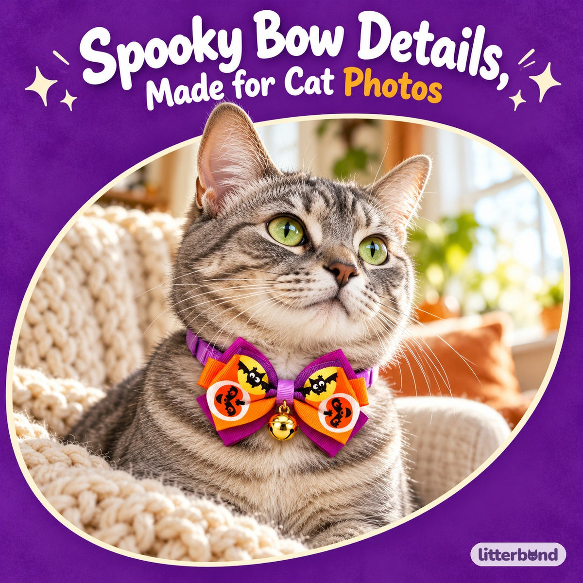 Halloween Bow Tie & Necktie Collars on a cat