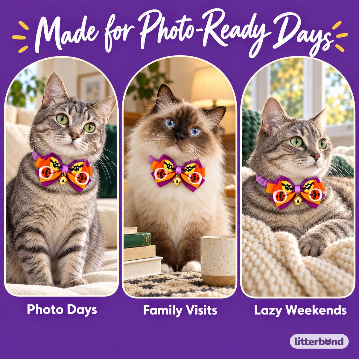 Halloween Bow Tie & Necktie Collars on a cat at home