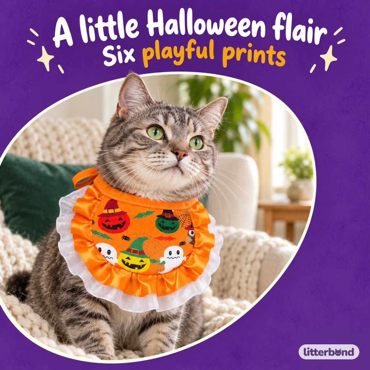 Spooky Print Ruffle Bib on a cat