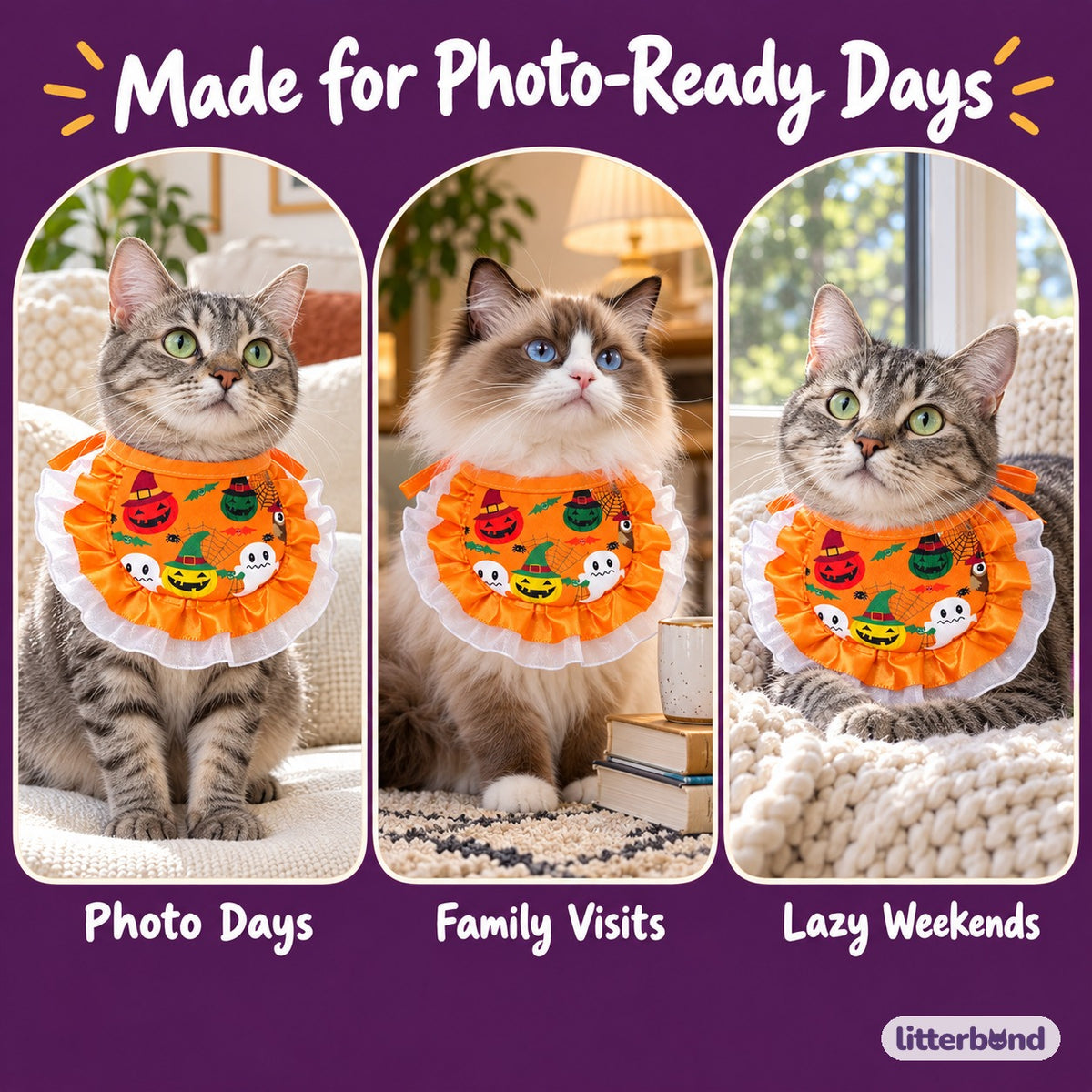 Spooky Print Ruffle Bib on a cat at home