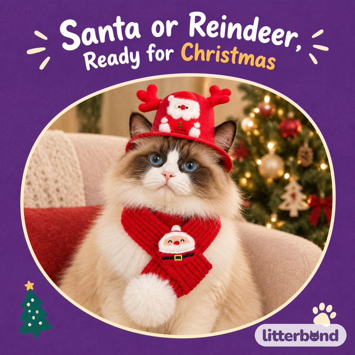 Felt Christmas Hat & Knit Scarf Set on a cat