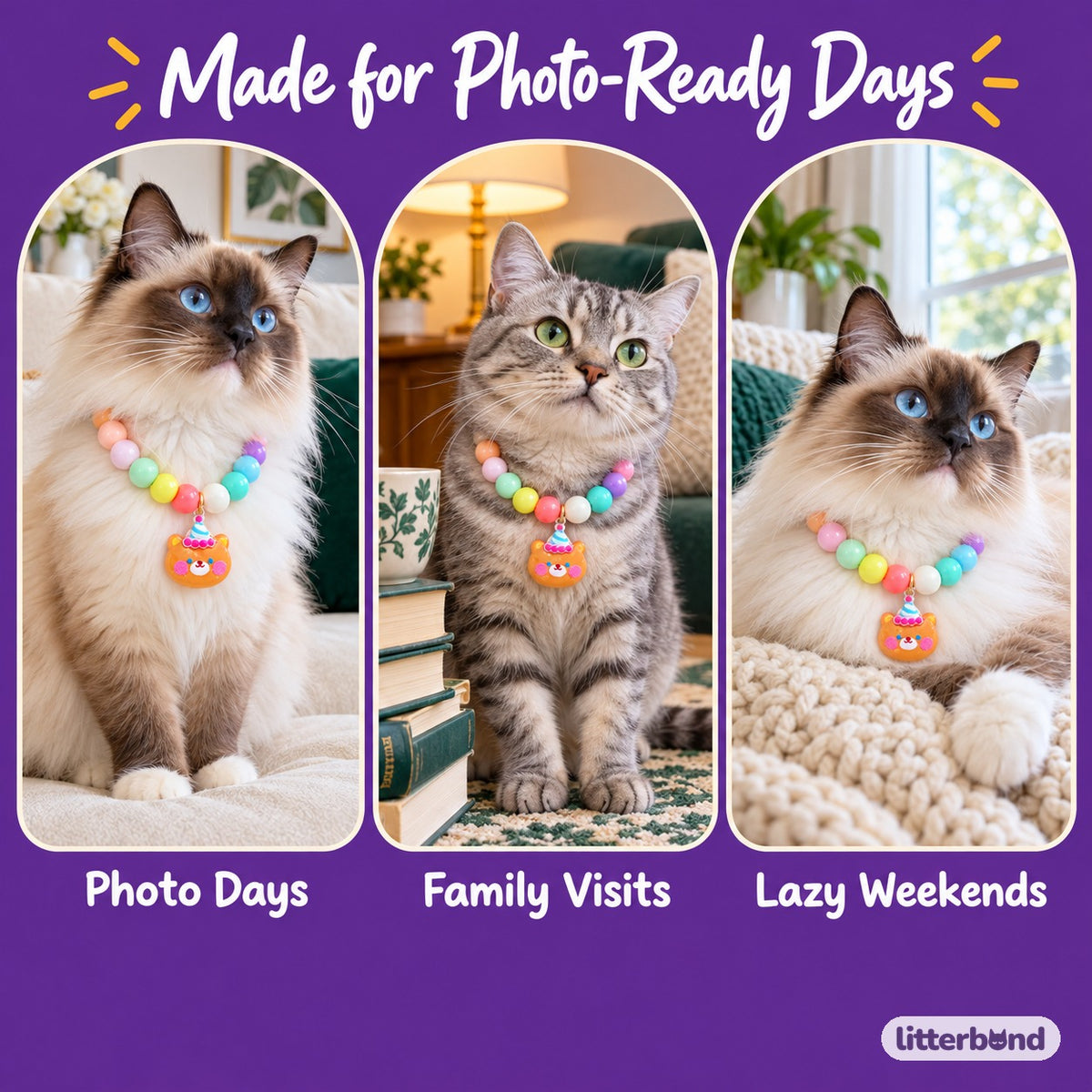 Pastel Beaded Charm Necklace on a cat at home