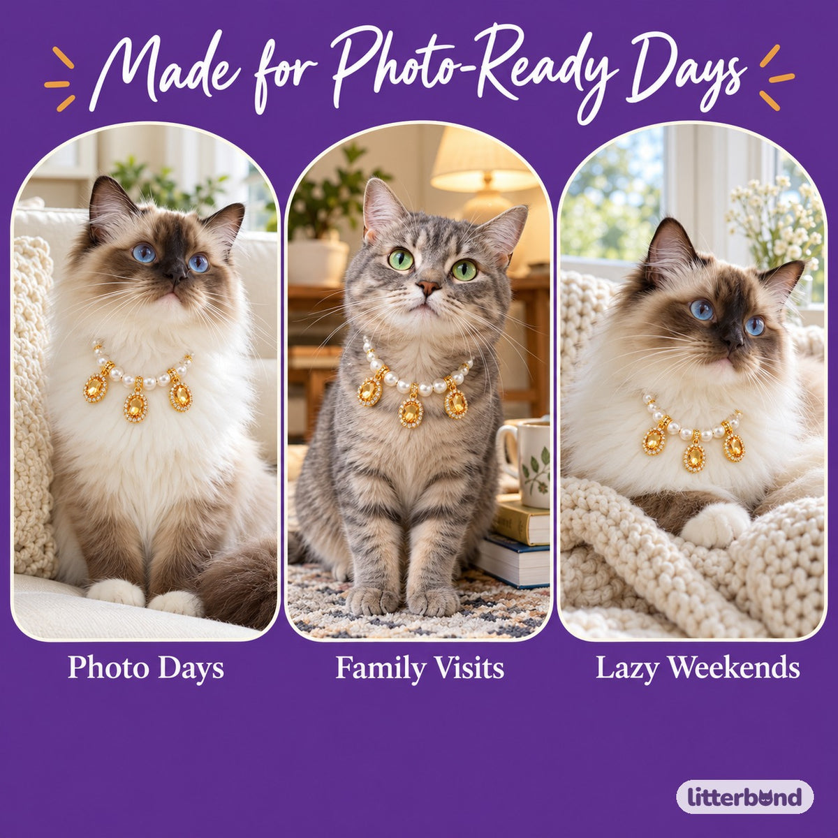 Gemstone Pearl Collar Necklace on a cat at home