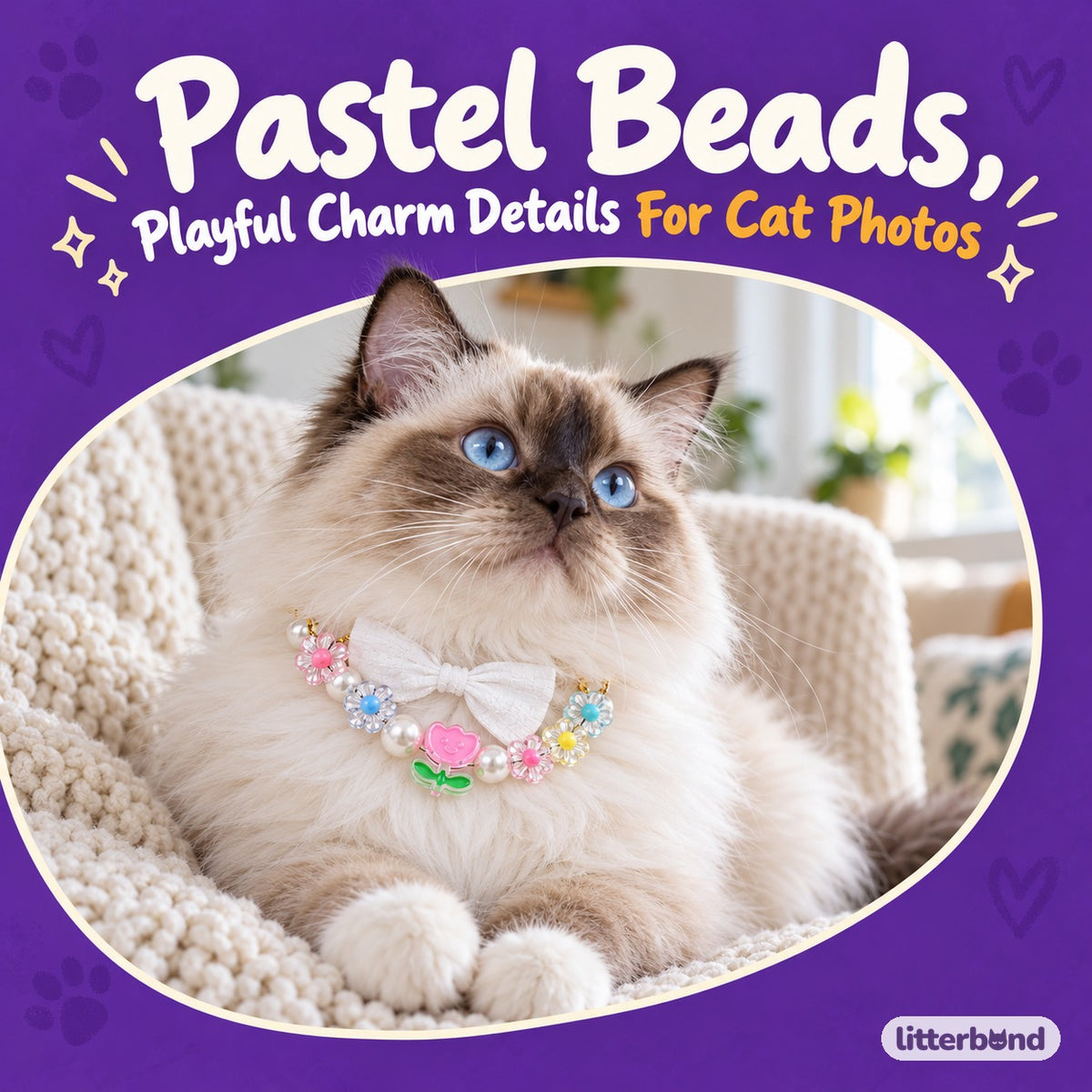 Pastel Charm Necklace for Photos on a cat