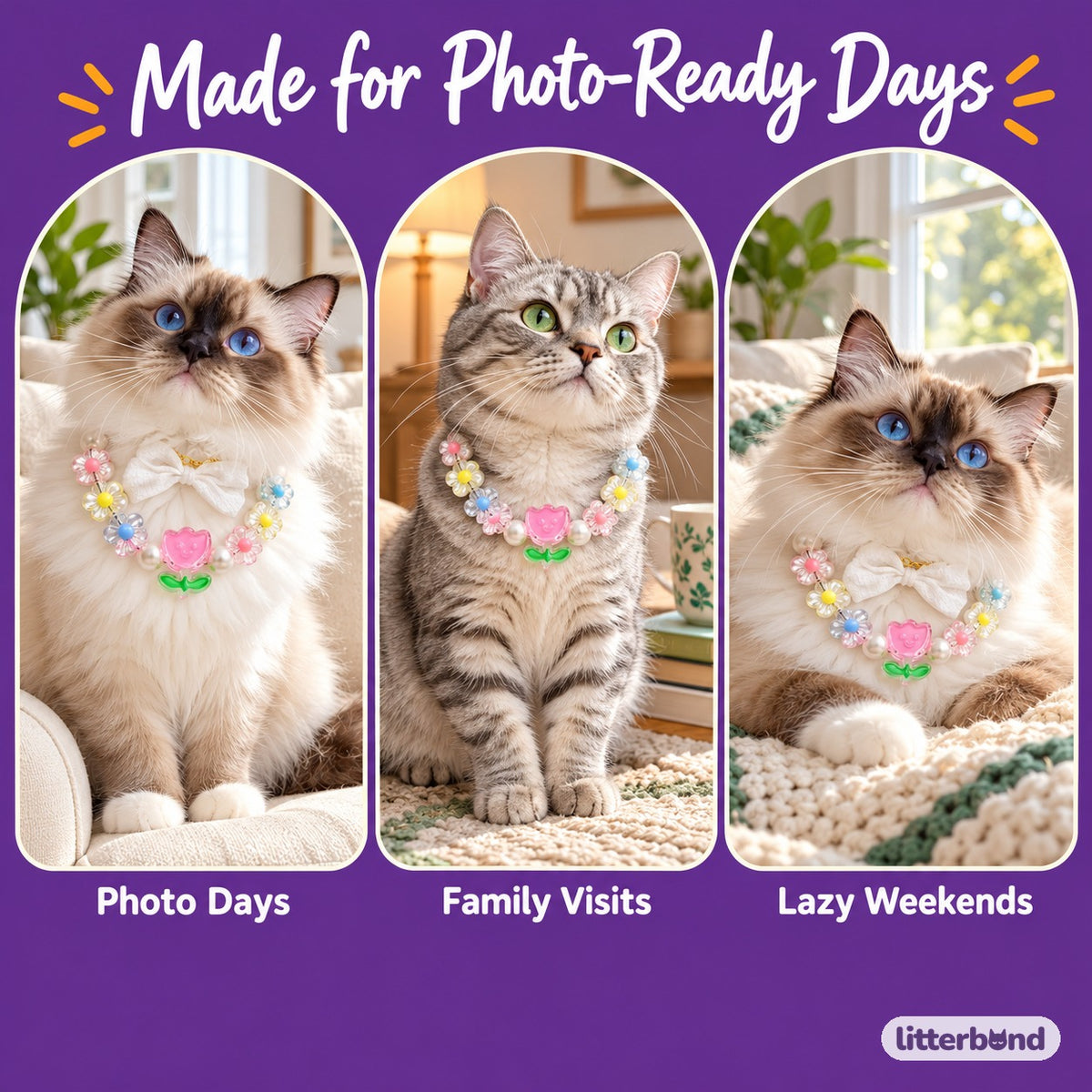 Pastel Charm Necklace for Photos on a cat at home