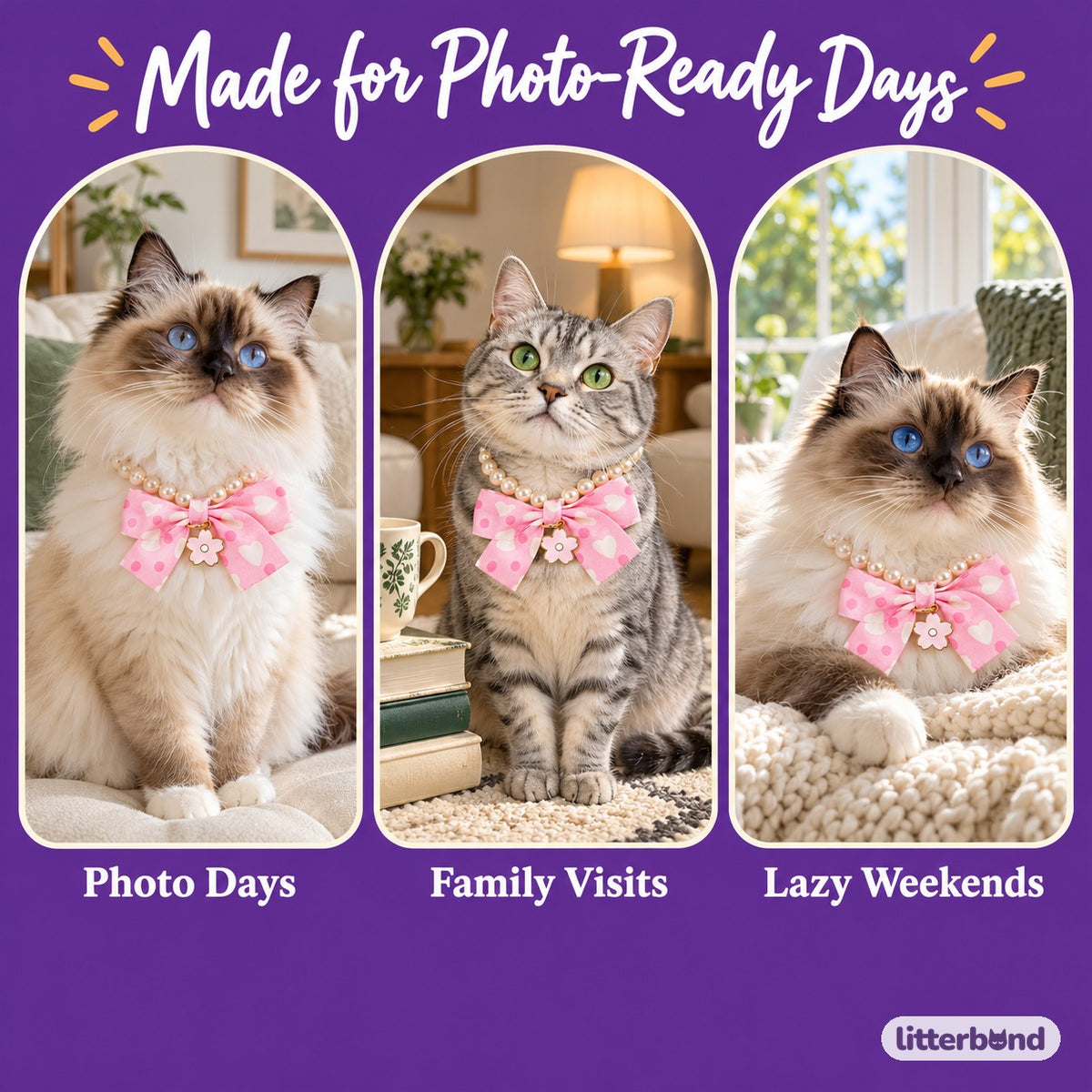Polka Dot Bow Pearl Necklace on a cat at home