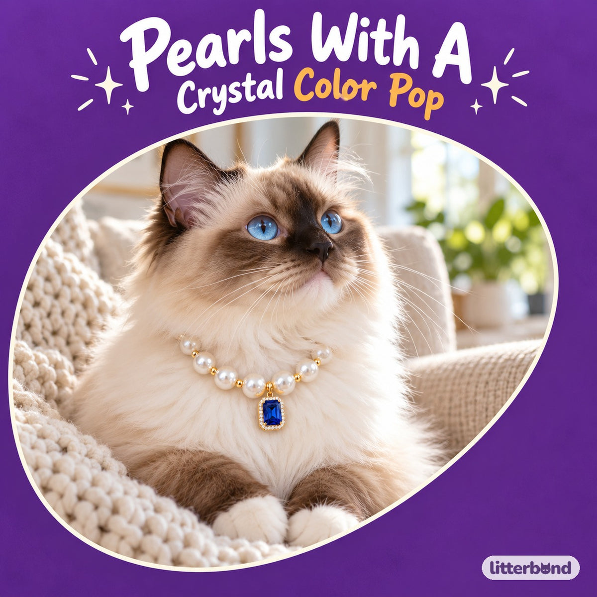 Crystal Pearl Photo Collar on a cat