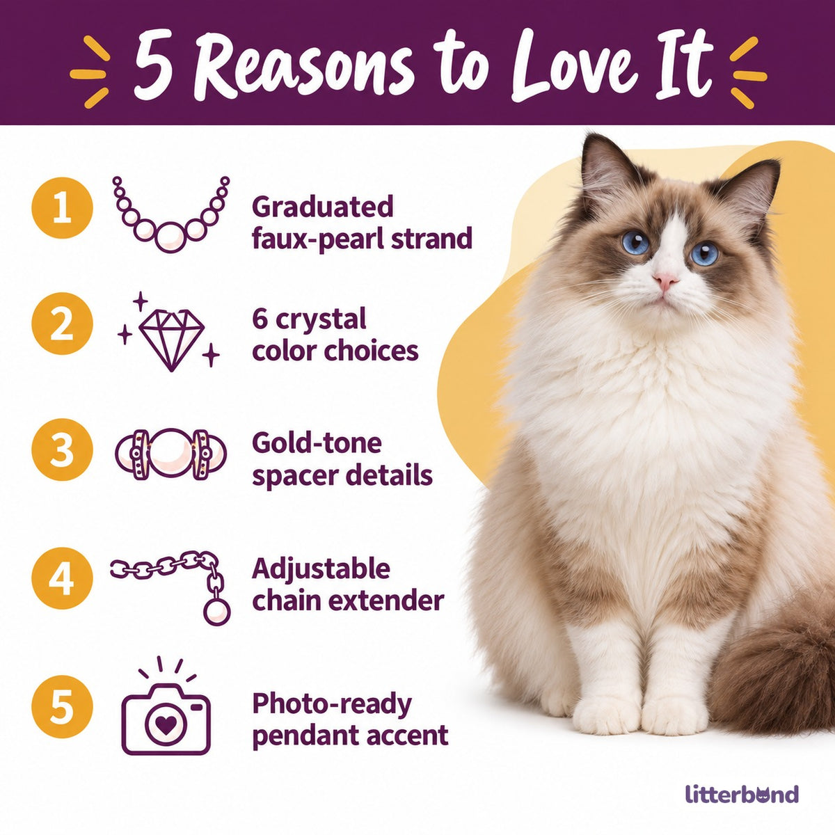 Crystal Pearl Photo Collar - 5 reasons to love it