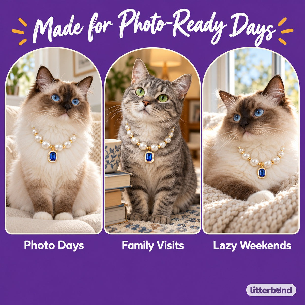 Crystal Pearl Photo Collar on a cat at home