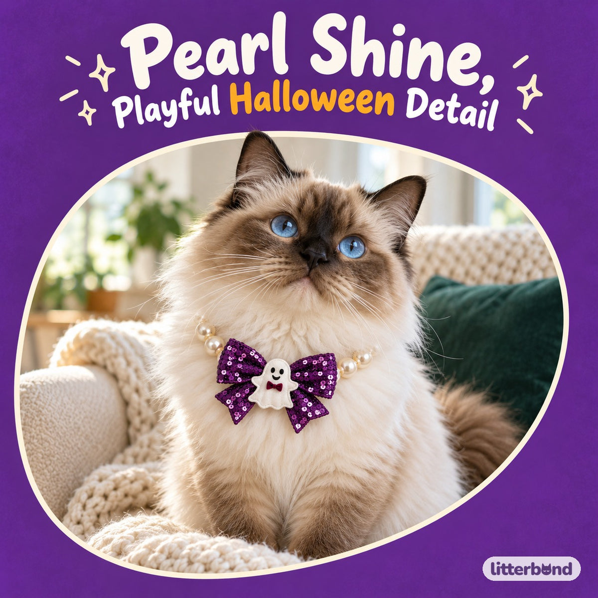 Halloween Pearl Bow Necklace for Photos on a cat