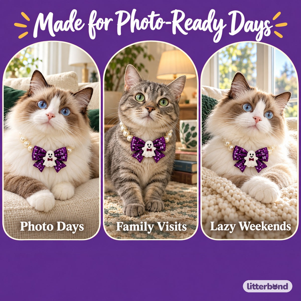 Halloween Pearl Bow Necklace for Photos on a cat at home
