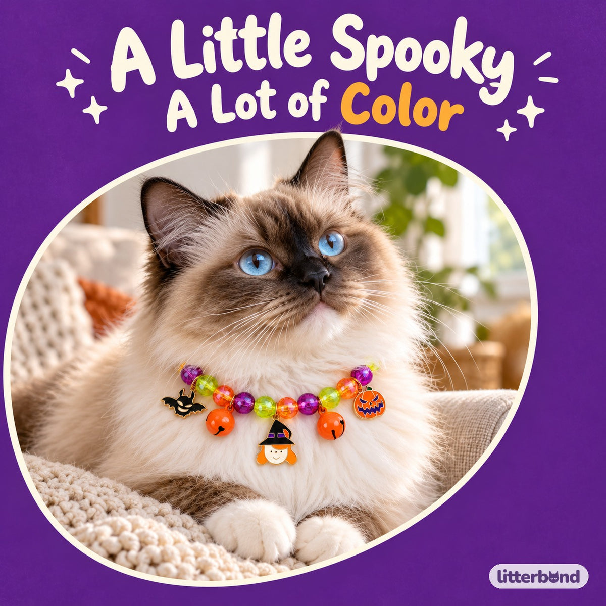 Spooky Rainbow Necklace for Photos on a cat