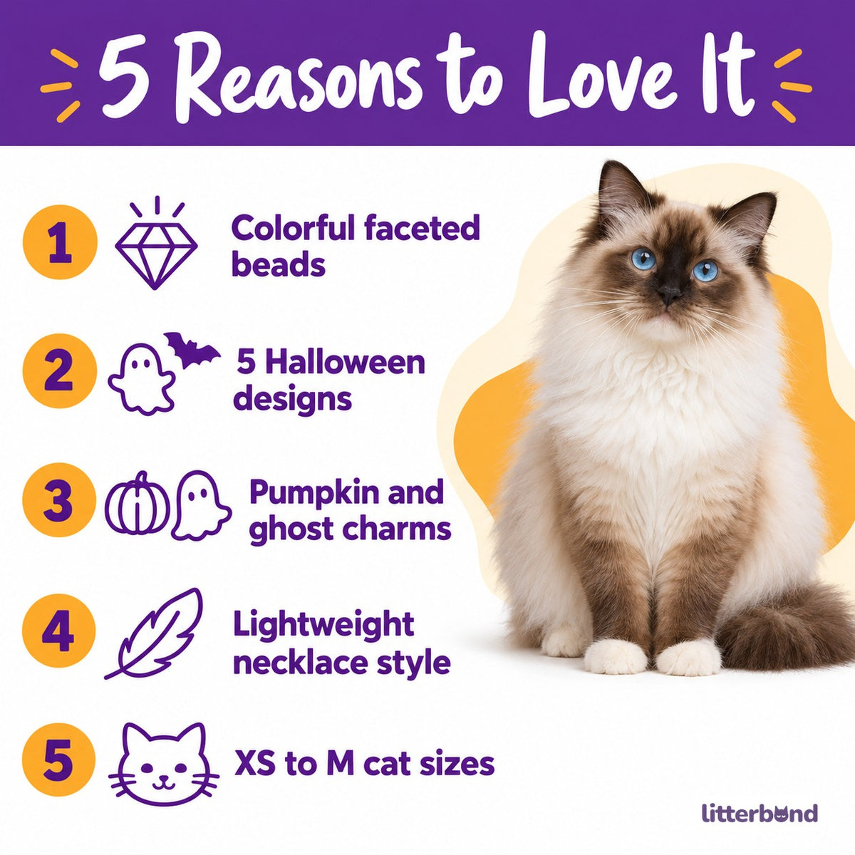 Spooky Rainbow Necklace for Photos - 5 reasons to love it
