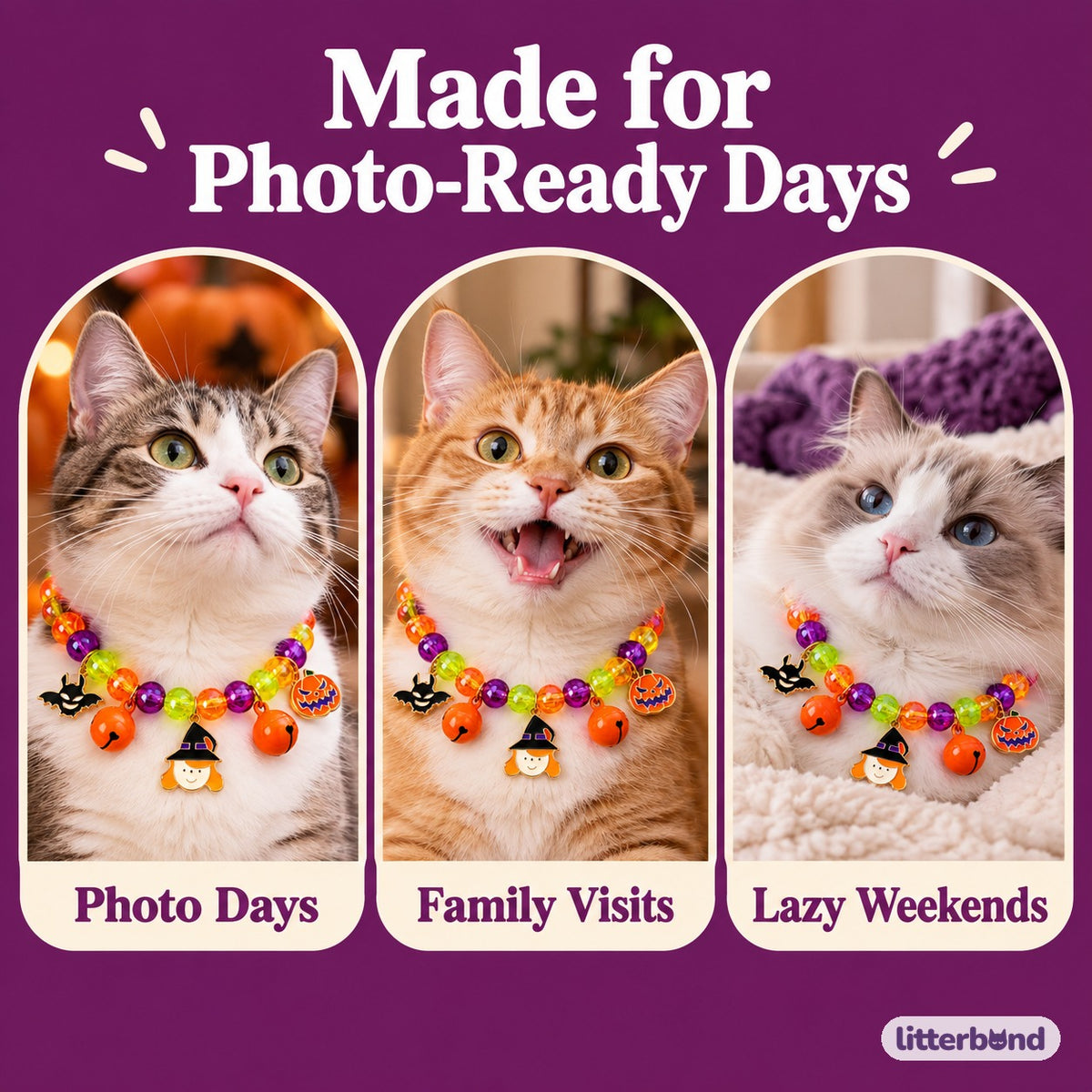 Spooky Rainbow Necklace for Photos on a cat at home