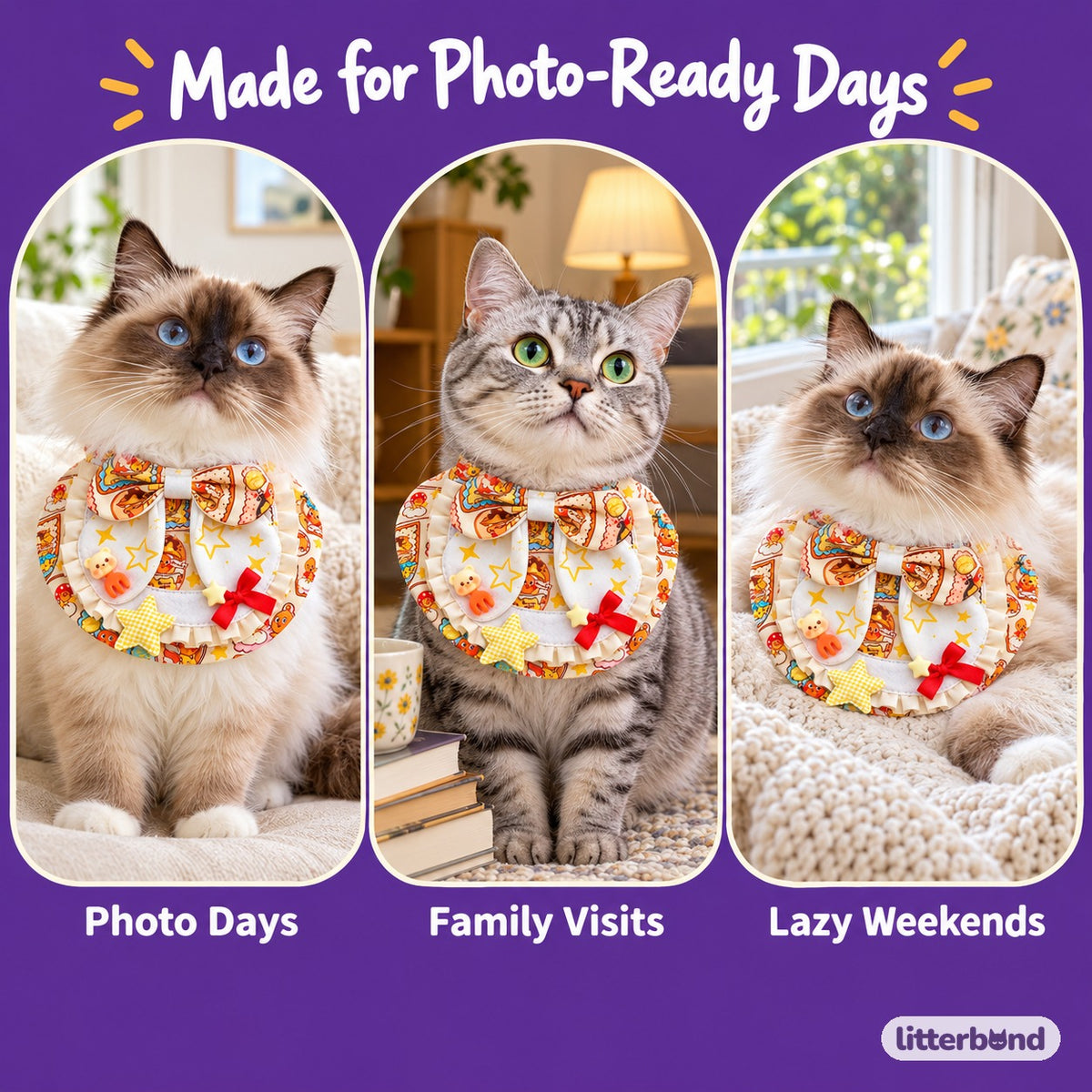 Yellow Star Bib Collar for Cat Photos on a cat at home