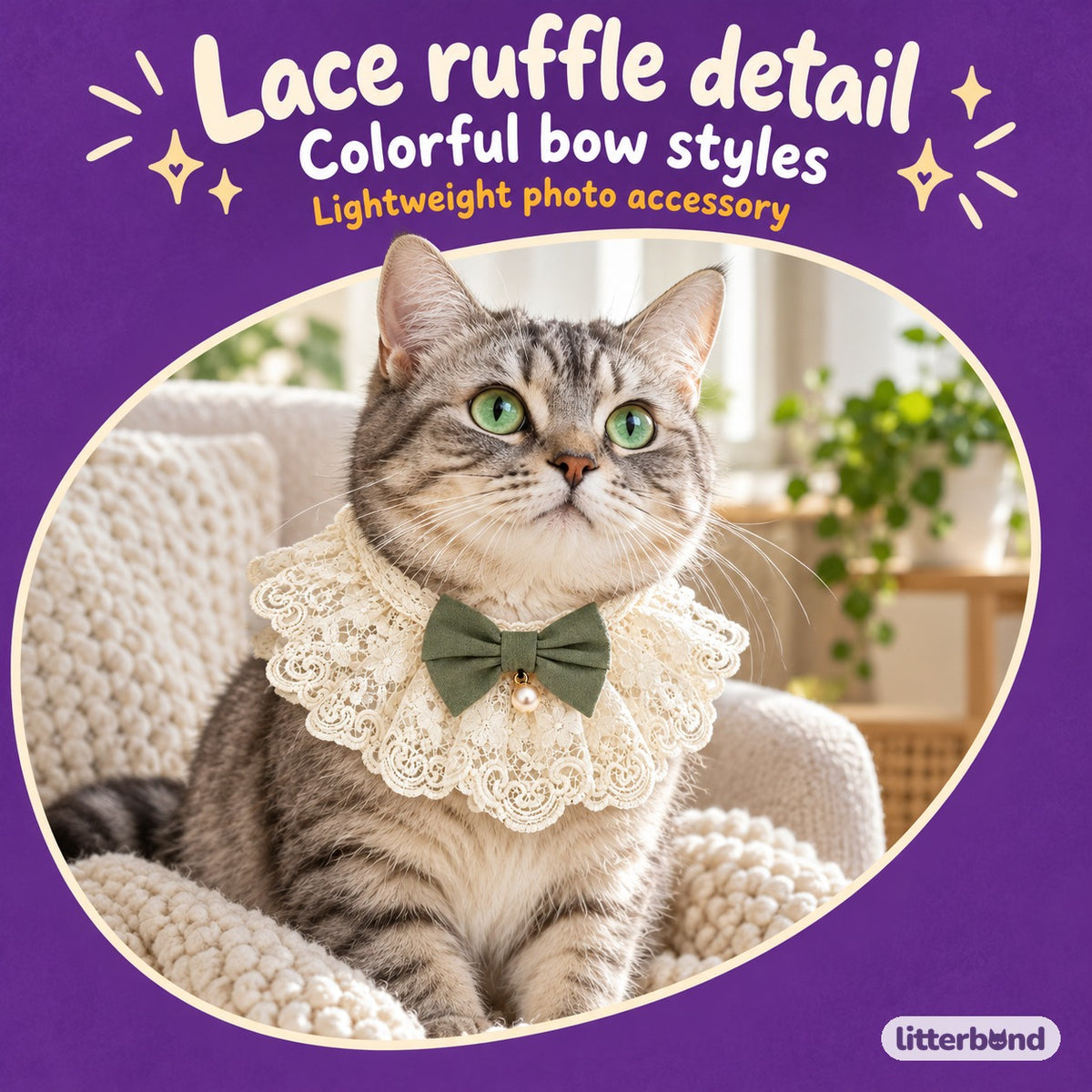 Lace Ruffle Bow Collar Bib for Photos on a cat