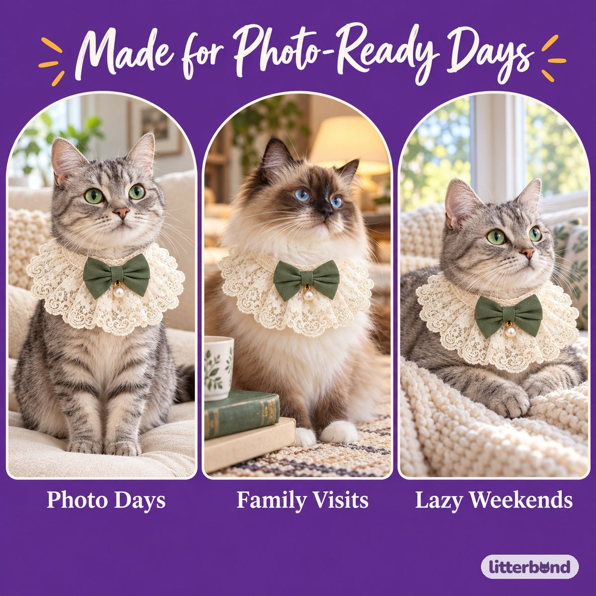 Lace Ruffle Bow Collar Bib for Photos on a cat at home
