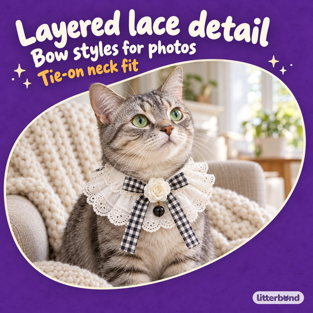Lace Bow Bib Collar on a cat