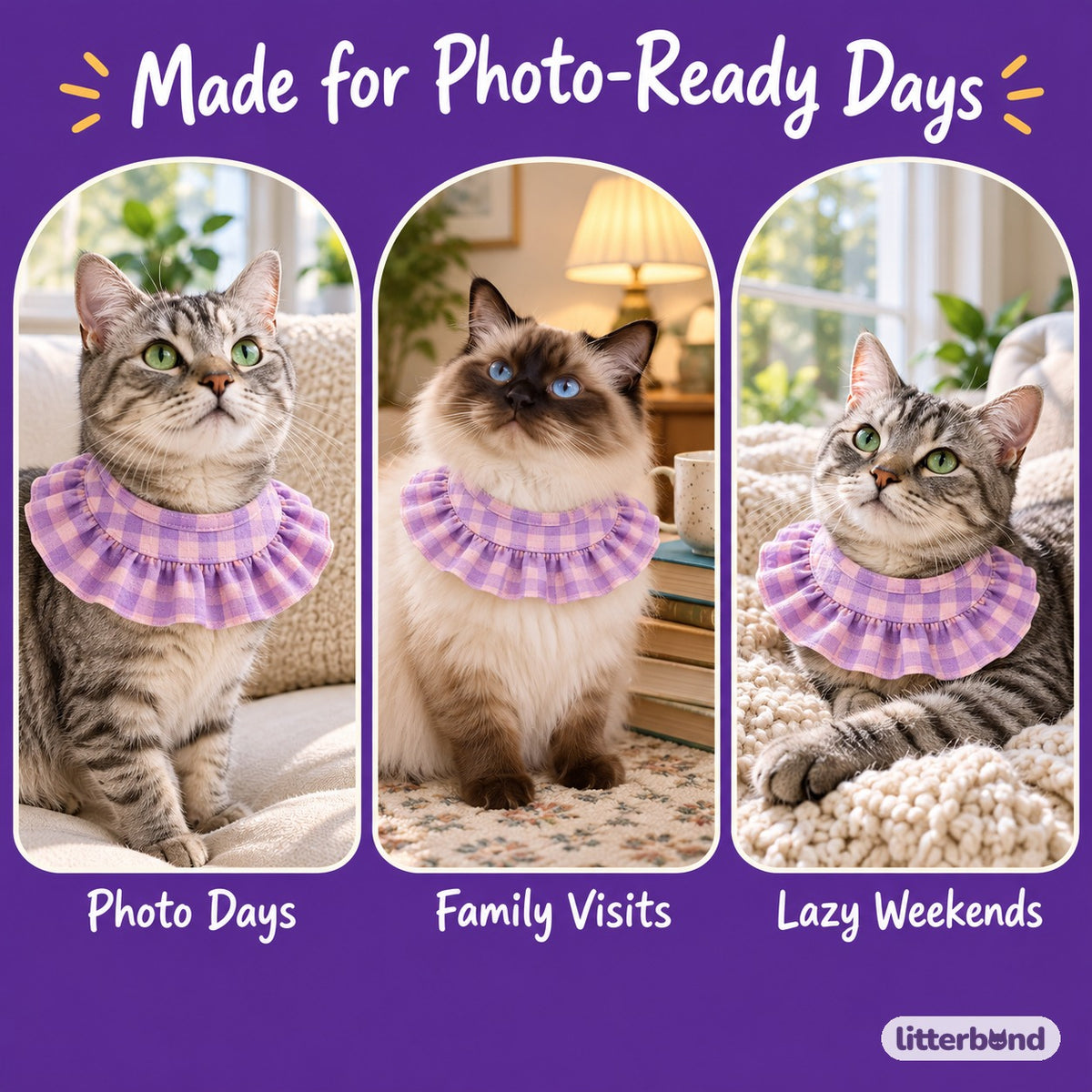 Printed Ruffle Bib Collar on a cat at home