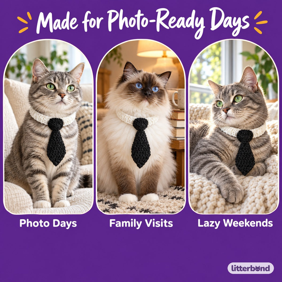 Colorful Crochet Necktie Collar on a cat at home